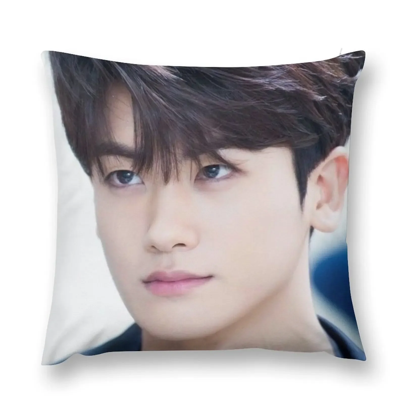 Actor Park Hyung-sik Throw Pillow Luxury Pillow Case home decor items Sofa Cushion pillow