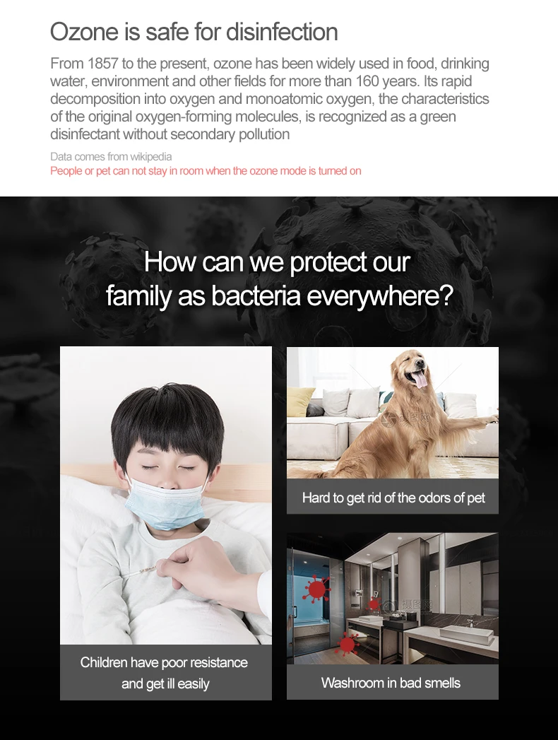 Air Purifier for Pet Odor Negative Ion Air Freshener Ultrasonic Dust Mite Killer Dual Ozone Modes Portable Hotel Air Disinfector