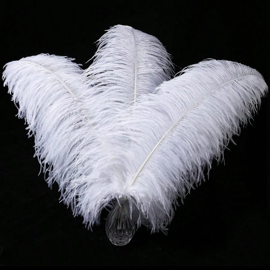 

White Ostrich Feathers 45-50cm Large Natural Feather Plumes for Vase Wedding Party Centerpiece Home Decorations
