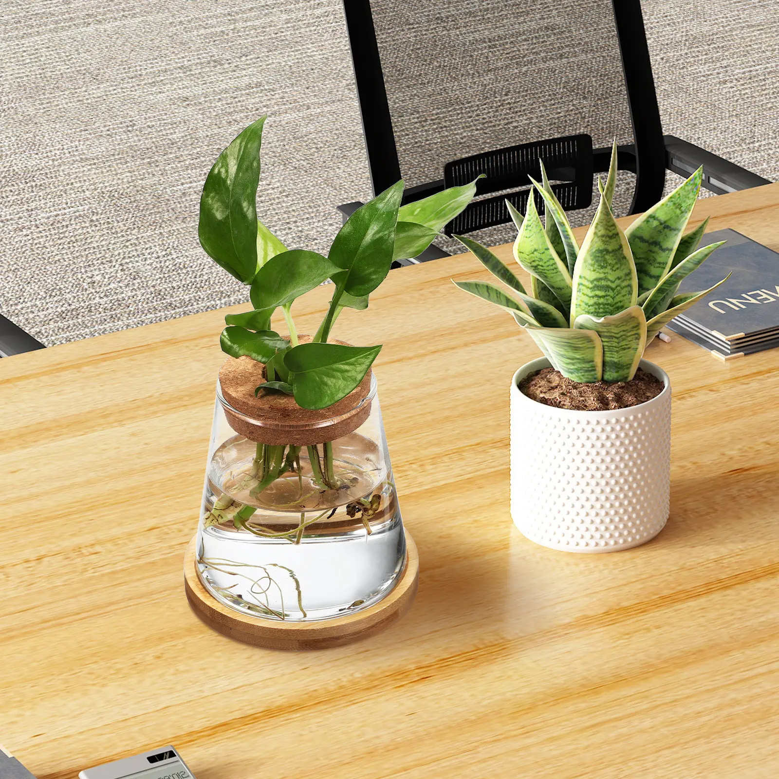 

2Pcs Water Planters Hydroponic Glass Bottles Tapered Clear Plant Vases Fish Tanks 330Ml Propagation Station Indoor Decoration