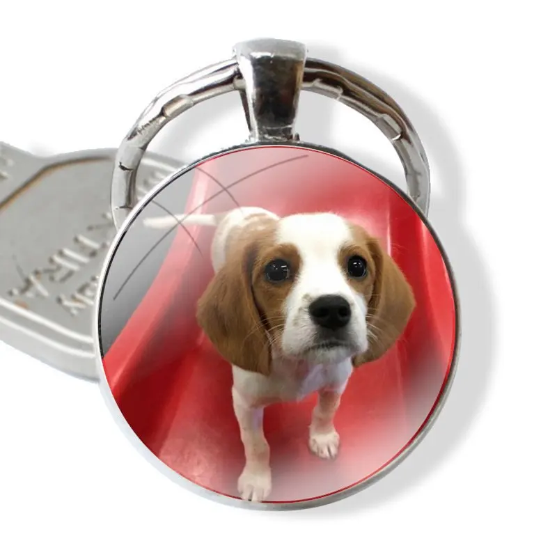 25mm Glass Cabohcon Keychain Key Rings for Women Men Jewelry Gift sweet beagles puppies Loyal Dog