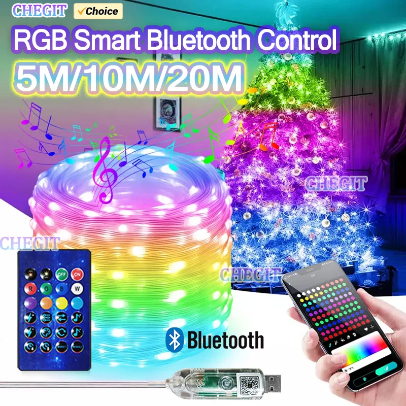 

USB 5V LED String Lights RGBIC Addressable Smart Programmable Bluetooth App Christmas Fairy Light For Room Outdoor Curtain Decor