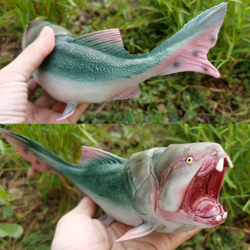 โมเดลสัตว์ทะเลน้ำตื้นสมจริง สำหรับตกแต่งบ้าน ของเล่นเสริมพัฒนาการเด็ก ของสะสม