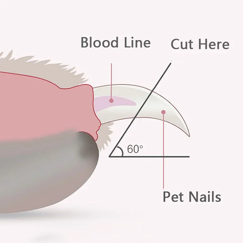 Pro Pet Nail Clippers w/LED Light 5