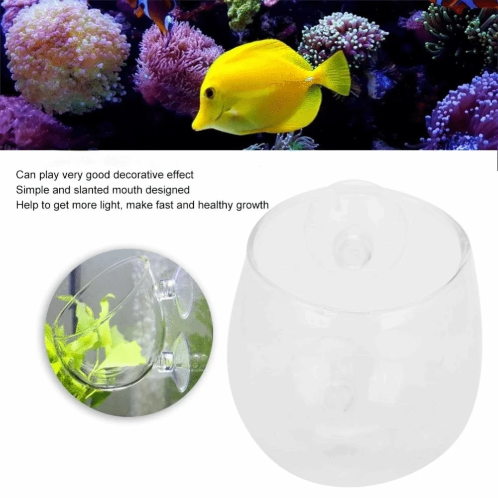 Transparent Aquarium Plant Cup Suction Cup Mount Open Top Aquascaping Cup Compact Aquatic Plant Holder Aquarium Aquascaping