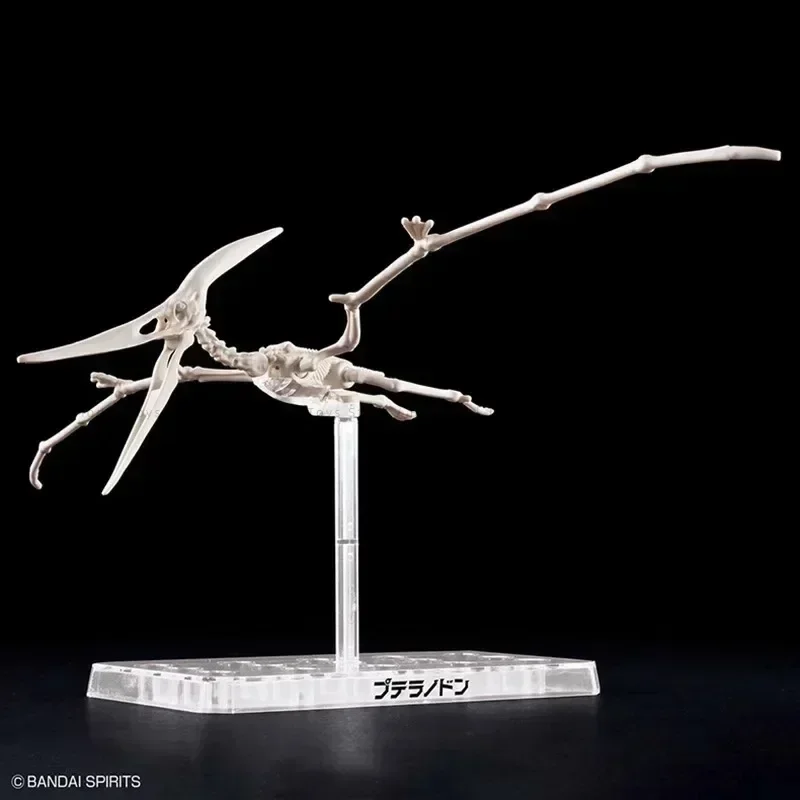 In Stock BB Bandai Original Anime Plastic Dinosauria Pteranodon Skeleton Containing Fossils Action Figure Toys Model Gifts