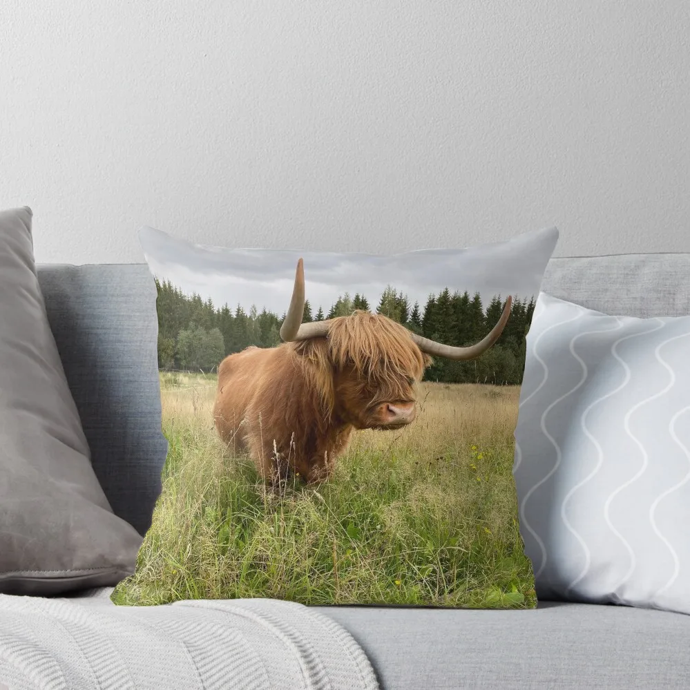 

Scottish Highland Cattle Cow 2956 Throw Pillow Christmas Pillowcase anime girl pillow