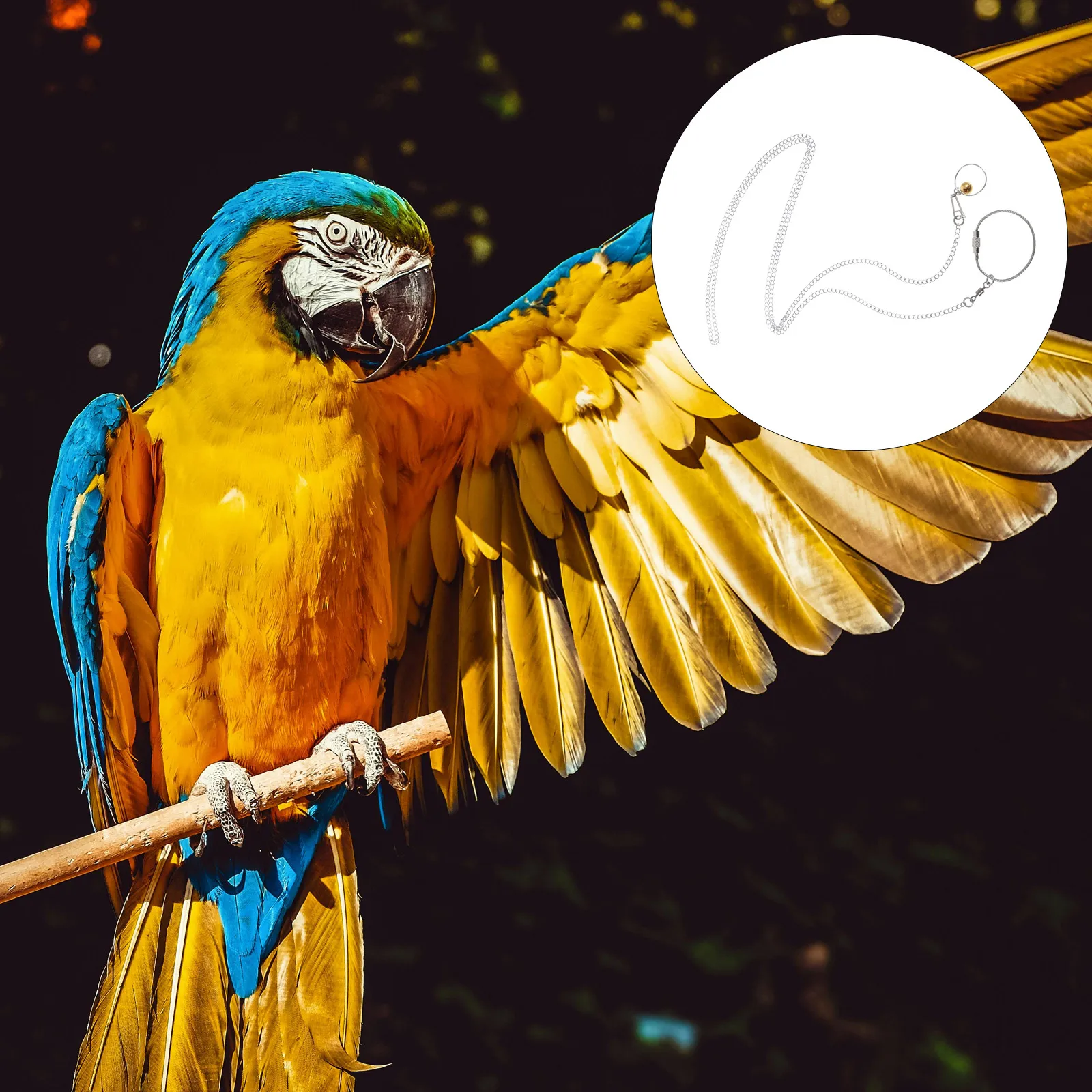 

Parrot Neck Stainless Steel Durable Harness Escape Prevention Comfortable Fit Easy Use For Macaw Conure Outdoor Flying