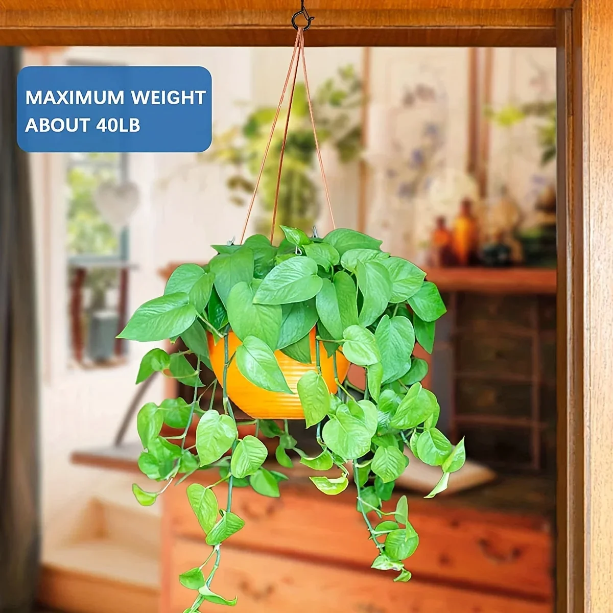Hanger Hooks with Safety Buckle,Windproof Screw Hooks for Hanging Outdoor String Lights,Ceiling Hooks  Plants,Christmas Lights image 4