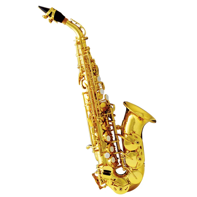

Hooqu SSC-310 Curved Bell Soprano Saxophone