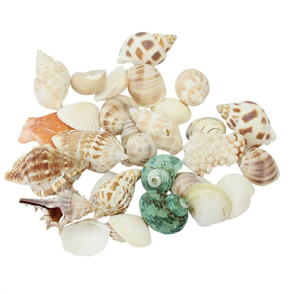 100G Mixed Beach Colorful Seashells Craft Aquarium Home Decoration seashell craft seashell for home decor