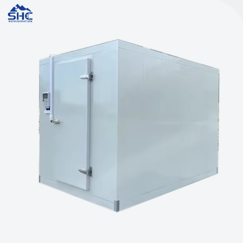 Walk in Freezer Cold Room /Cold Room Storage/Cold Storage Walk-in Cold Storage Cold Storage Project