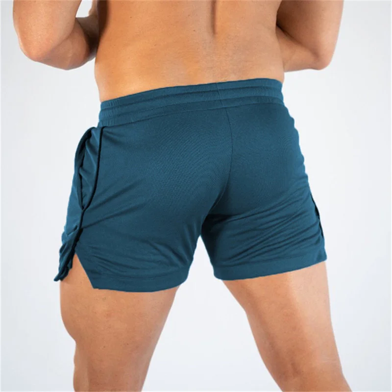 Pantalones cortos deportivos para hombre, Shorts de malla transpirable, secado rápido, ropa deportiva para gimnasio y playa, novedad de verano, 2024