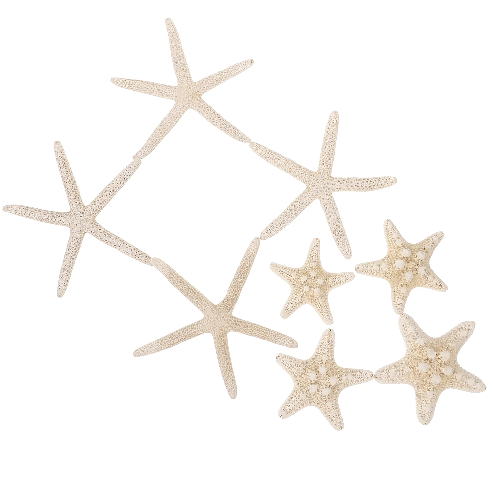 

8 Pcs Natural Decorations for Fish Tank Vase Filler Craft Beautiful Durable Decorative Sea Star DIY Landscaping