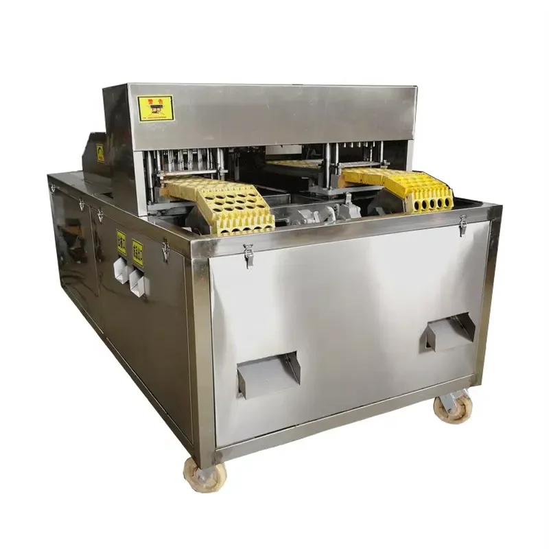 Fruit Core Seed Removing Separating Machine Cherry Pitting Machine Cherry Processing Pitting Machines