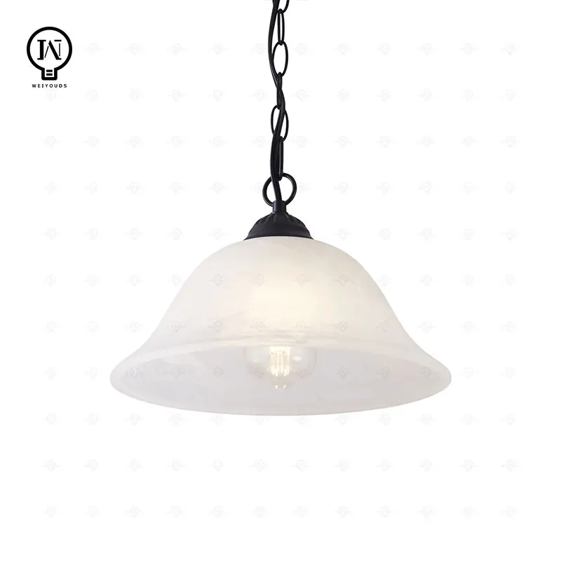 Traditional Plug or no Plug in Pendant Light Fixture Alabaster Glass Shade，Black Hanging Lamp ，for Kitchen Sink Garage Corner