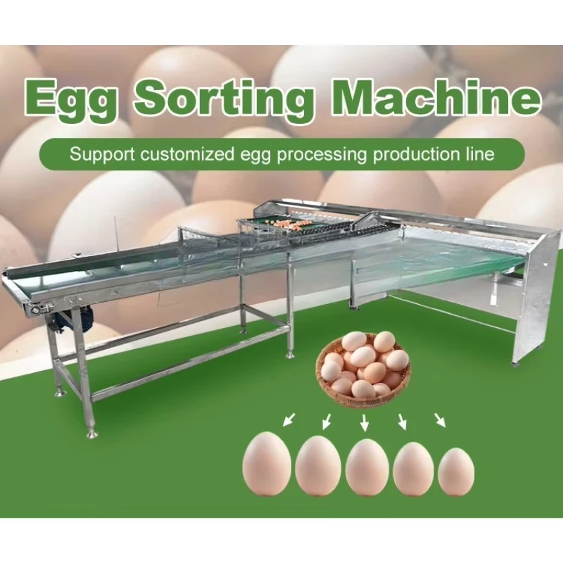 معايير الدرجات المخصصة الصغيرة التلقائي وزن البيض وفرز آلة الدرجات فارز بطة الدجاج أوزة البيض حجم الصف #2