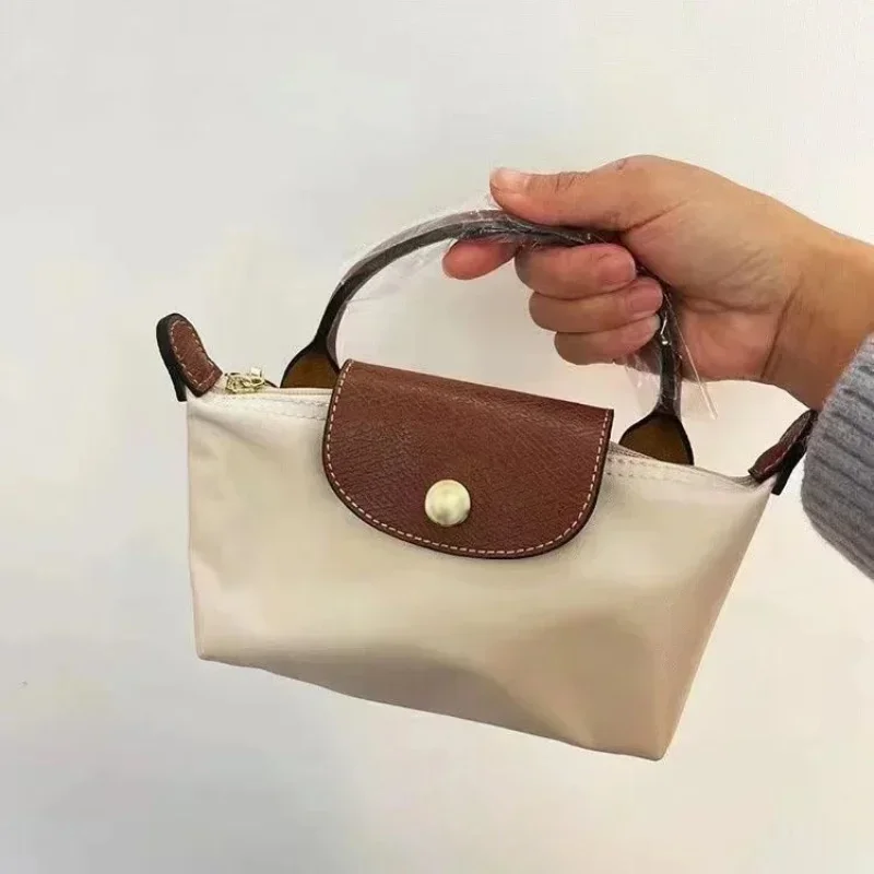 Women\'s Mini Handbag Spring Autumn Versatile Fashion Niche Designer Casual Bag Purses and Handbags Designer Bags Tote Bag