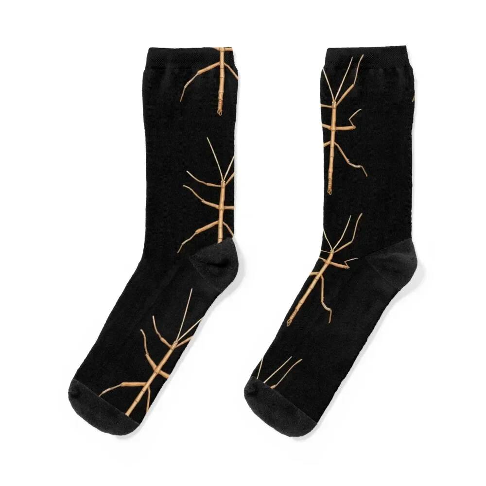 

Stick insect grasshopper insect design Socks Running christmas gifts floral Lots Girl'S Socks Men's