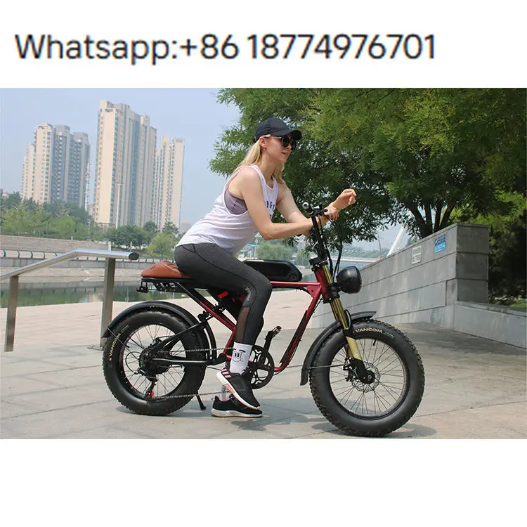 

Wholesale 20-Inch Adult Electric Bike Fat Tire Bike 750W 48V 15AH Full Suspension Outside Sport LED Headlight Vintage for Adults