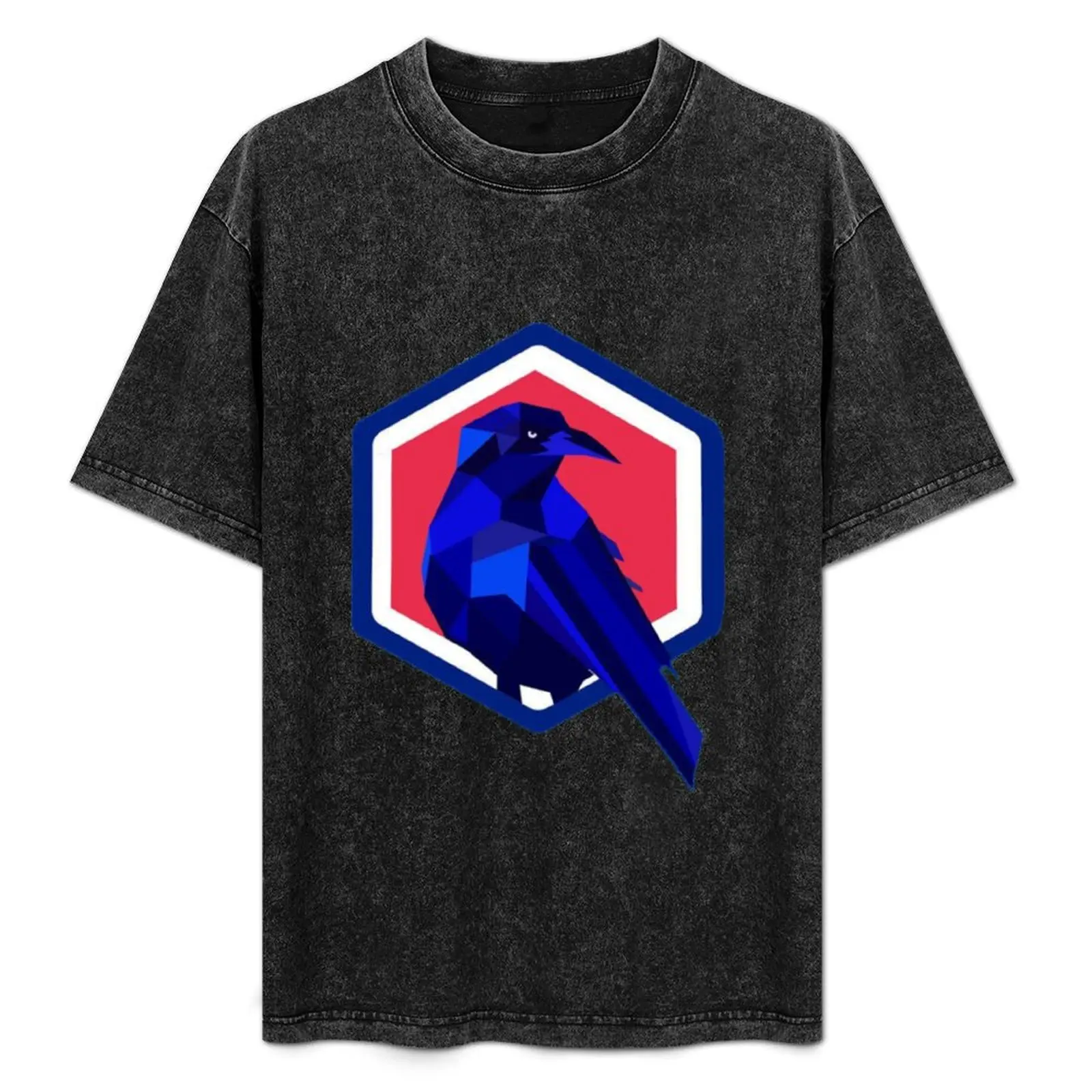 

Greenhouse Academy Ravens Logo T-Shirt Lightweight Print T-Shirt