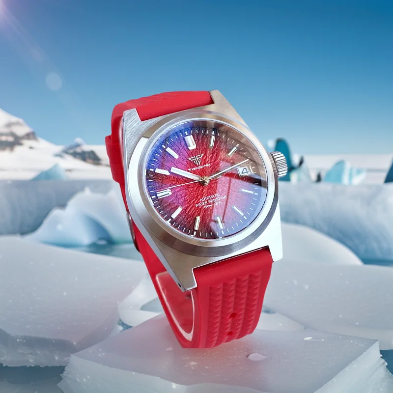 Tandorio New 38mm Brushed Case NH35 Automatic Diving Men Watch Luminous Sapphire Glass  Brown Red Dial 200m Waterproof