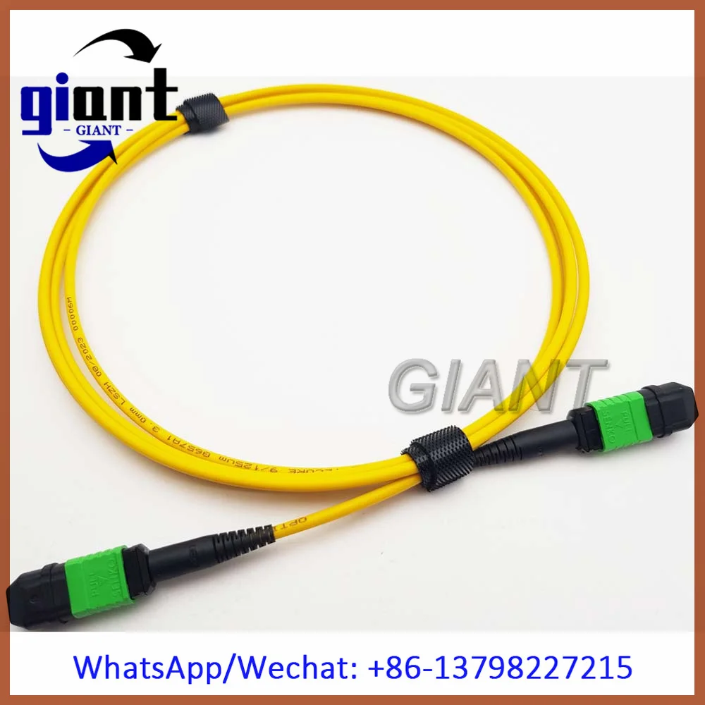 SM,12Cores,2M,G657A1,MPO Male Fiber Optic Patch Cord,APC Senko Connector SM,3.0mm LSZH Mini Round Cable, Standard Loss