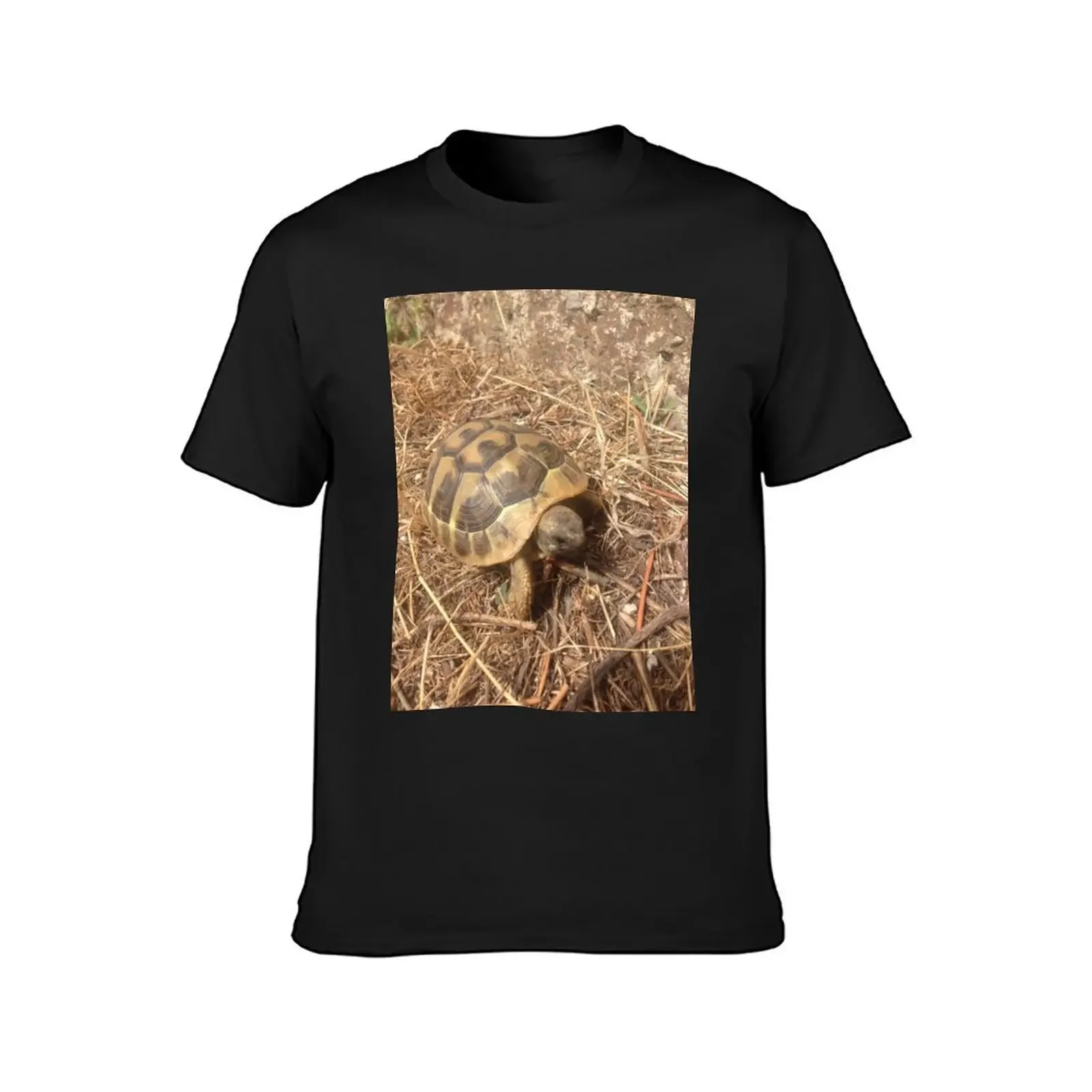 Small Tortoise Friend T-shirt Short sleeve tee boys whites summer tops anime men t shirts