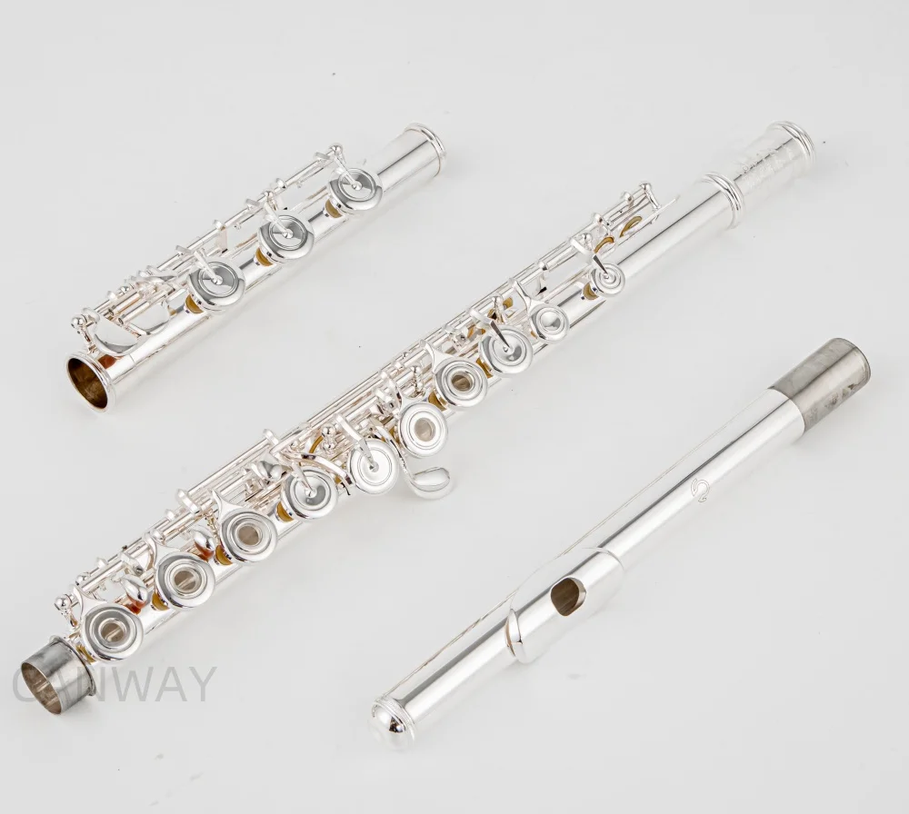 Pearl Quantz 665 Flute High Quality Silver Plated 17 Keys Flute Open Hole E-Mech Flute Musical Instrument