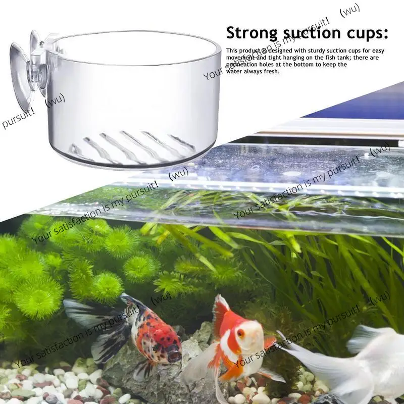 وعاء زهور زجاجي لخزان الأسماك مع دعامة كوب شفط، ورف حاوية تغذية، واستخدام المناظر الطبيعية لحوض السمك #4