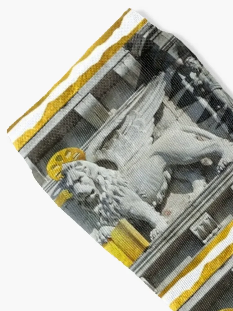 The Winged Lion - Doge's Palace Venice, Italy (by AliceCCI) Socks hiphop designer brand Climbing Male Socks Women's