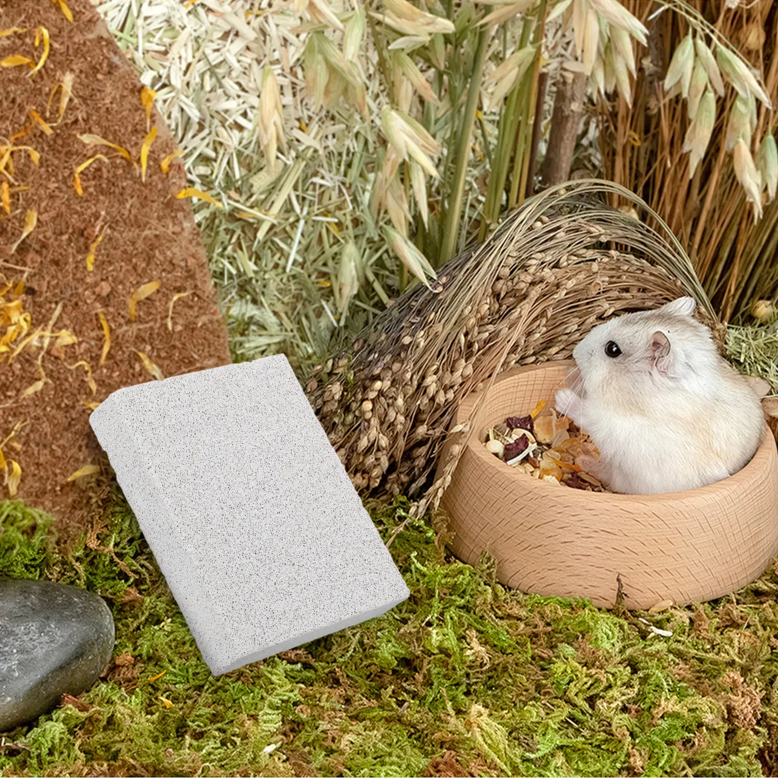 Pet Claw Grinding Stone Natural Volcanic Rock Nail File for Small Pets Rabbit Chinchilla Guinea Pig Hedgehog Foot Pad Scratch