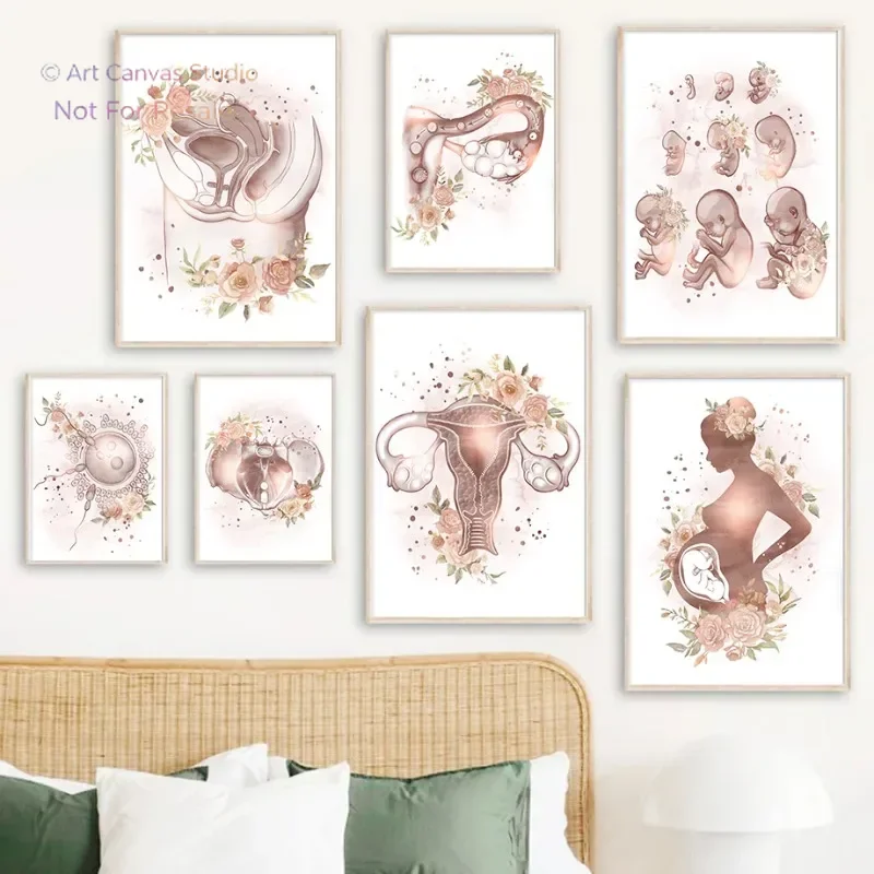 Gynecology Female Anatomy Fertility Pregnancy Posters Prints Canvas Painting Wall Art Picture Obstetrics Decor Gynecologist G