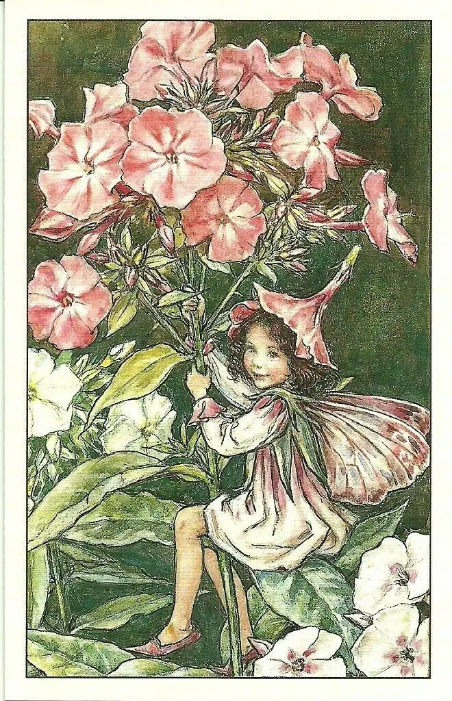 Retro Vintage Fairy Flower Fairy Home Bar Pub Kitchen Restaurant Wall Deocr Plaque Signs 12x8inch
