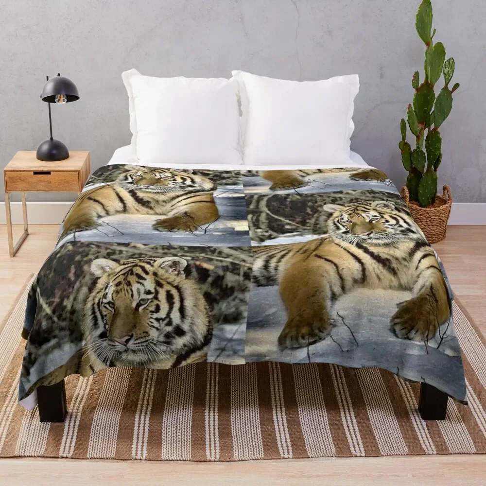 

Siberian Tiger Lovers Art Gifts Throw Blanket Heavy Summer Beddings Blankets