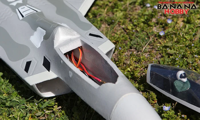 F22 50mm EDF RC Jet PNP 6 A xis GYro 2.4GHz Remote High Speed Foam Airplane Warbird Model