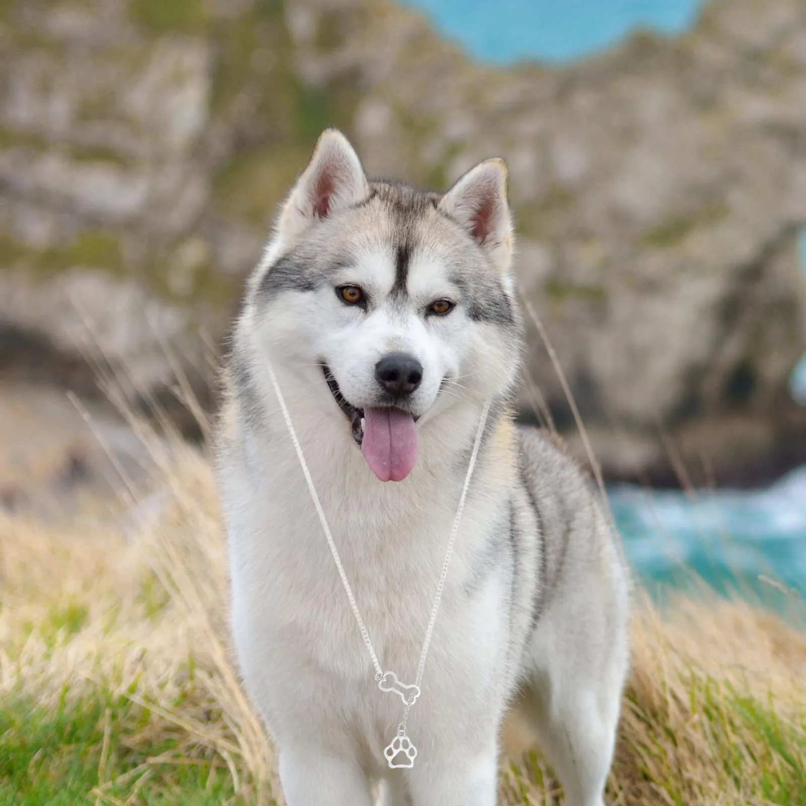 

Pet Alloy Decor Lightweight Silver Jewelry Pendant Charm For Cat Decorative Practical Long Lasting Beautiful