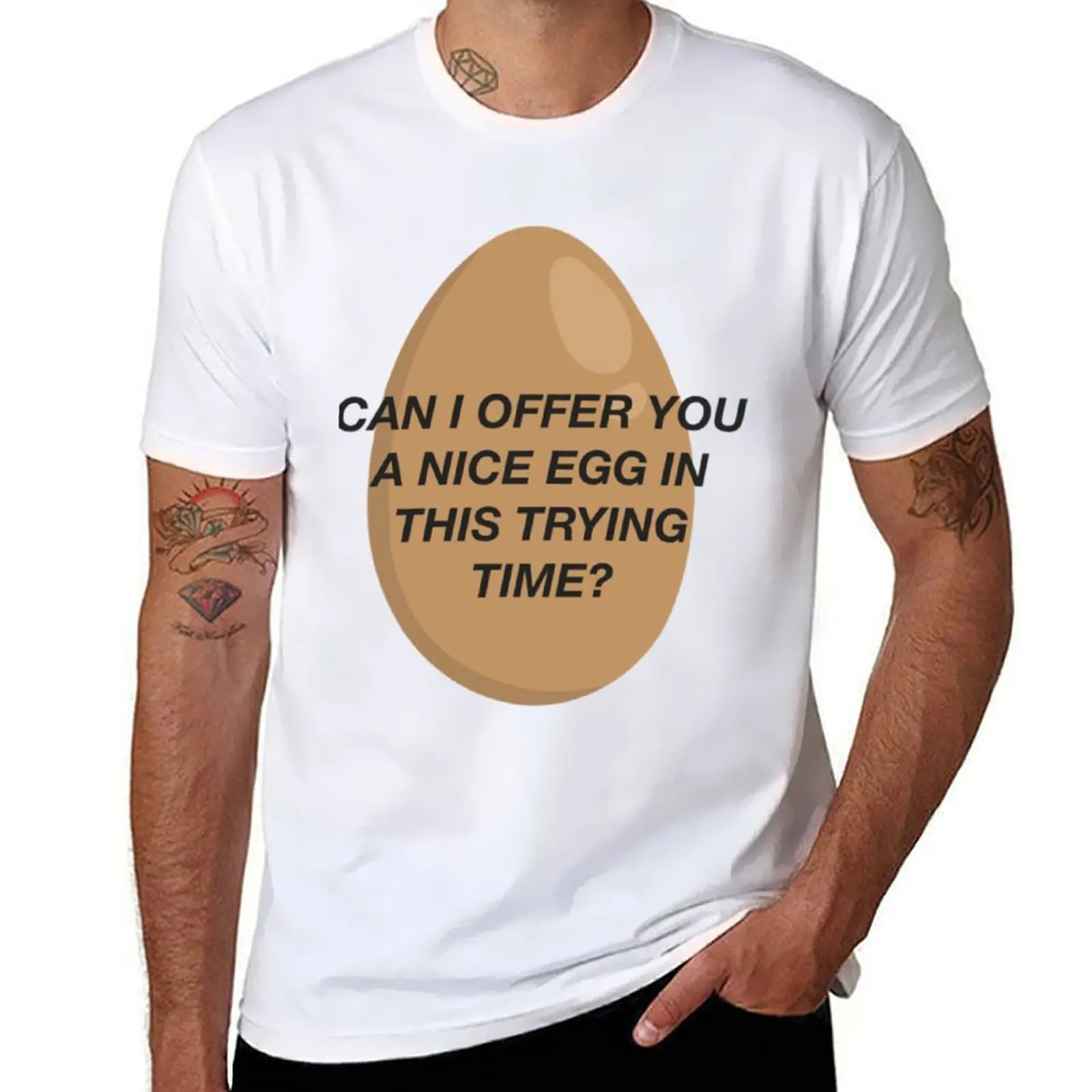 

CAN I OFFER YOU A NICE EGG IN THIS TRYING TIME - It_s Always Sunny T-Shirt black cotton t-shirt plain for man package T-Shirt