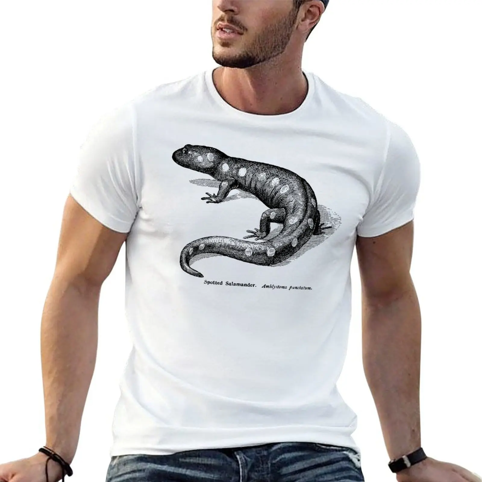 Spotted Salamader - Vintage Scientific Illustration T-Shirt custom t shirt new edition clothes for men