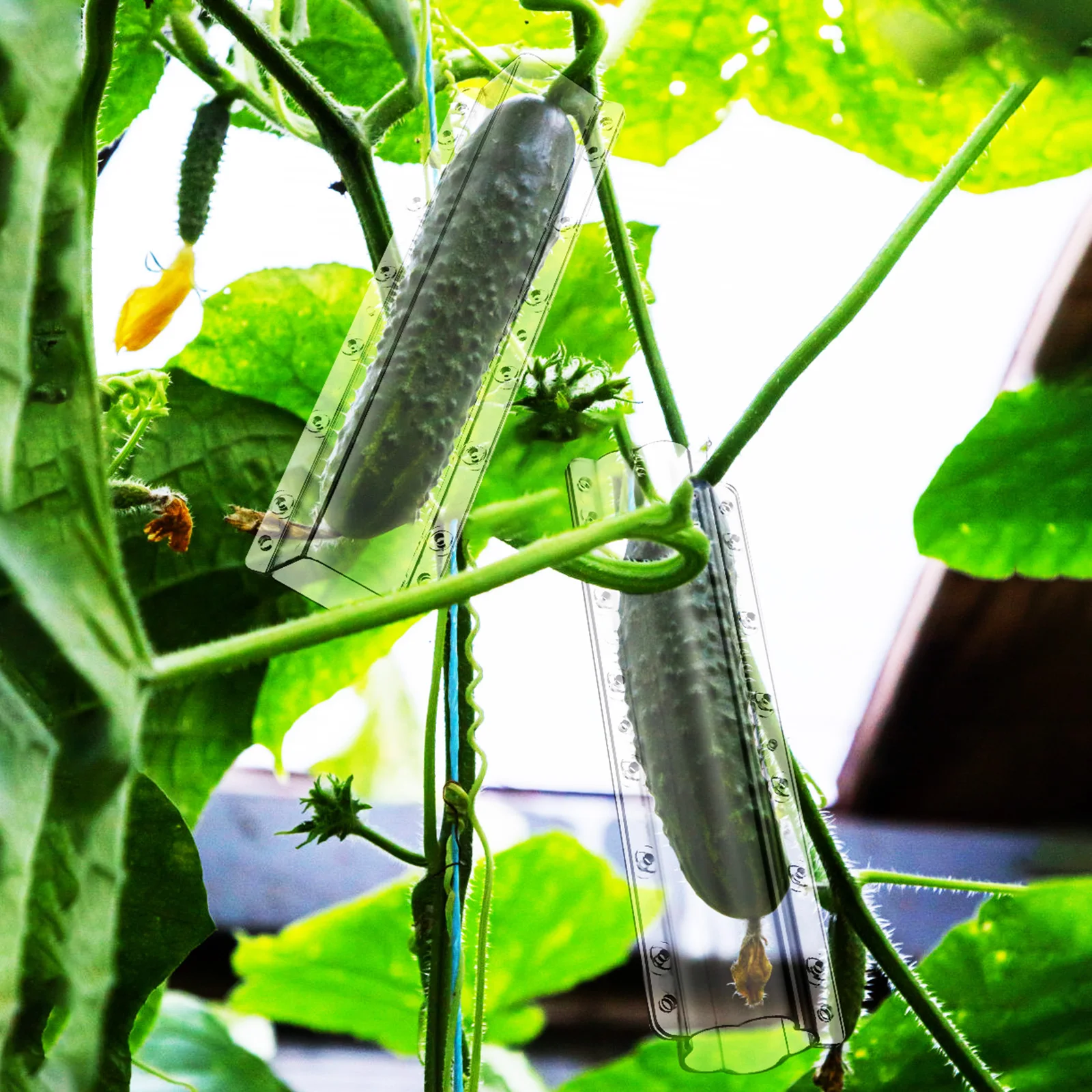 

4 pcs Cucumber Growth Molds Unique Shapes Durable Plastic Star Heart Square Plum Blossom Vegetable Shaping Accessories Fruit