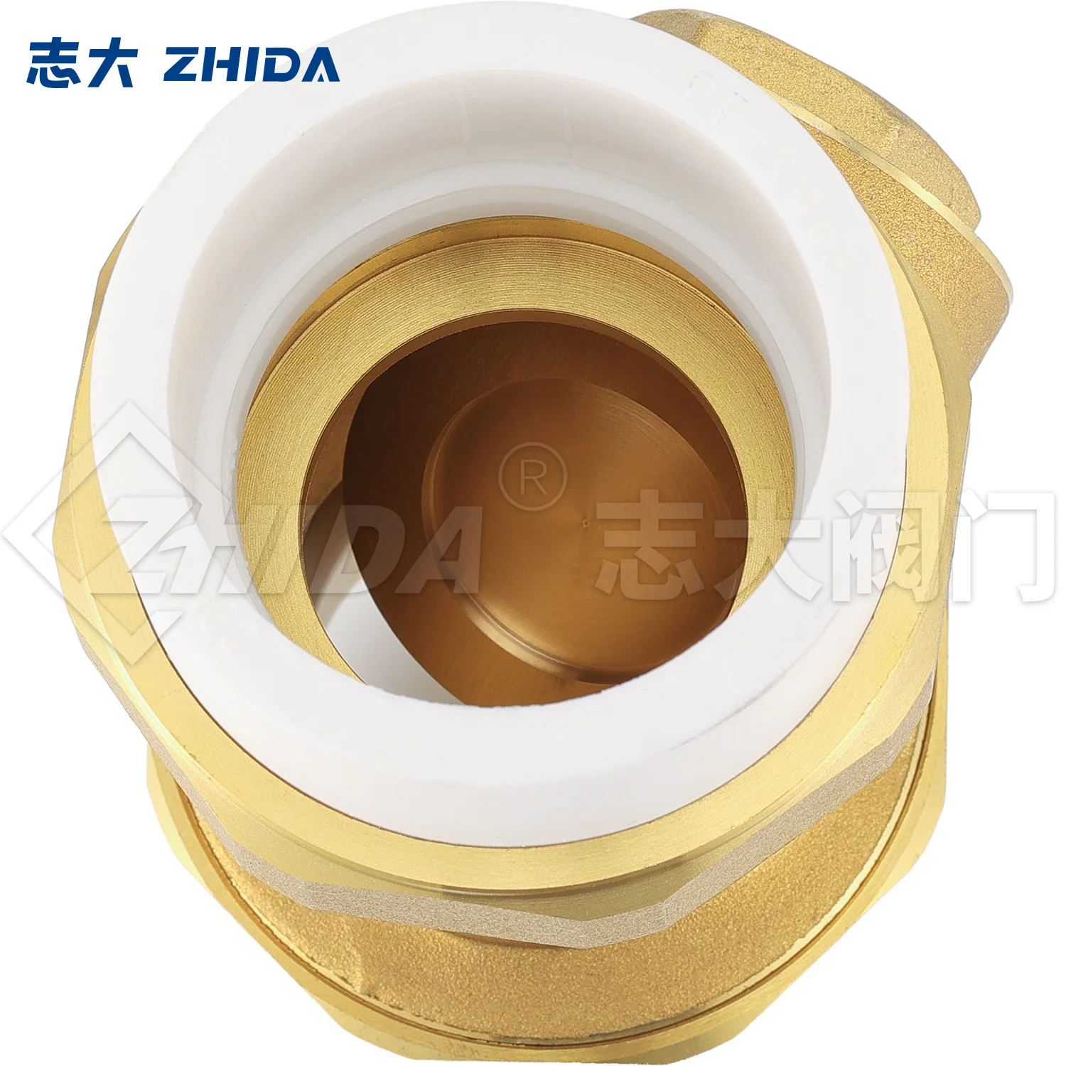 PPR Horizontal check valve Hot Melt Double Union Brass Reflux Valve One-way valves For Prevent Water Backflow