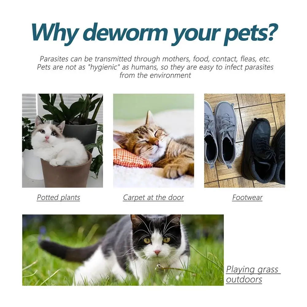 Thumbnail 4 - #14 Compare Pet Flea & Tick Controls Before You Buy