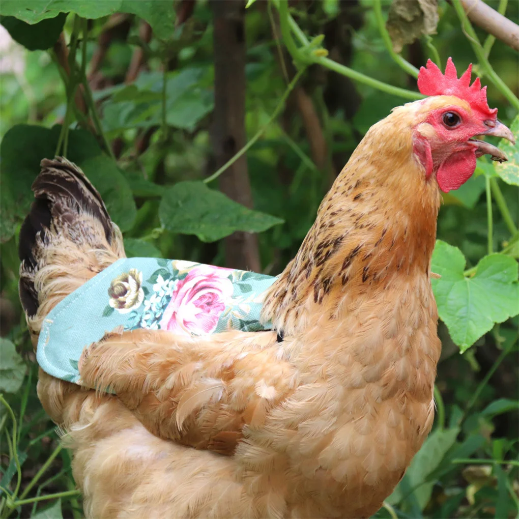 5 Pieces Chicken Saddle Canvas Hens Apron Feather Protection Accessories