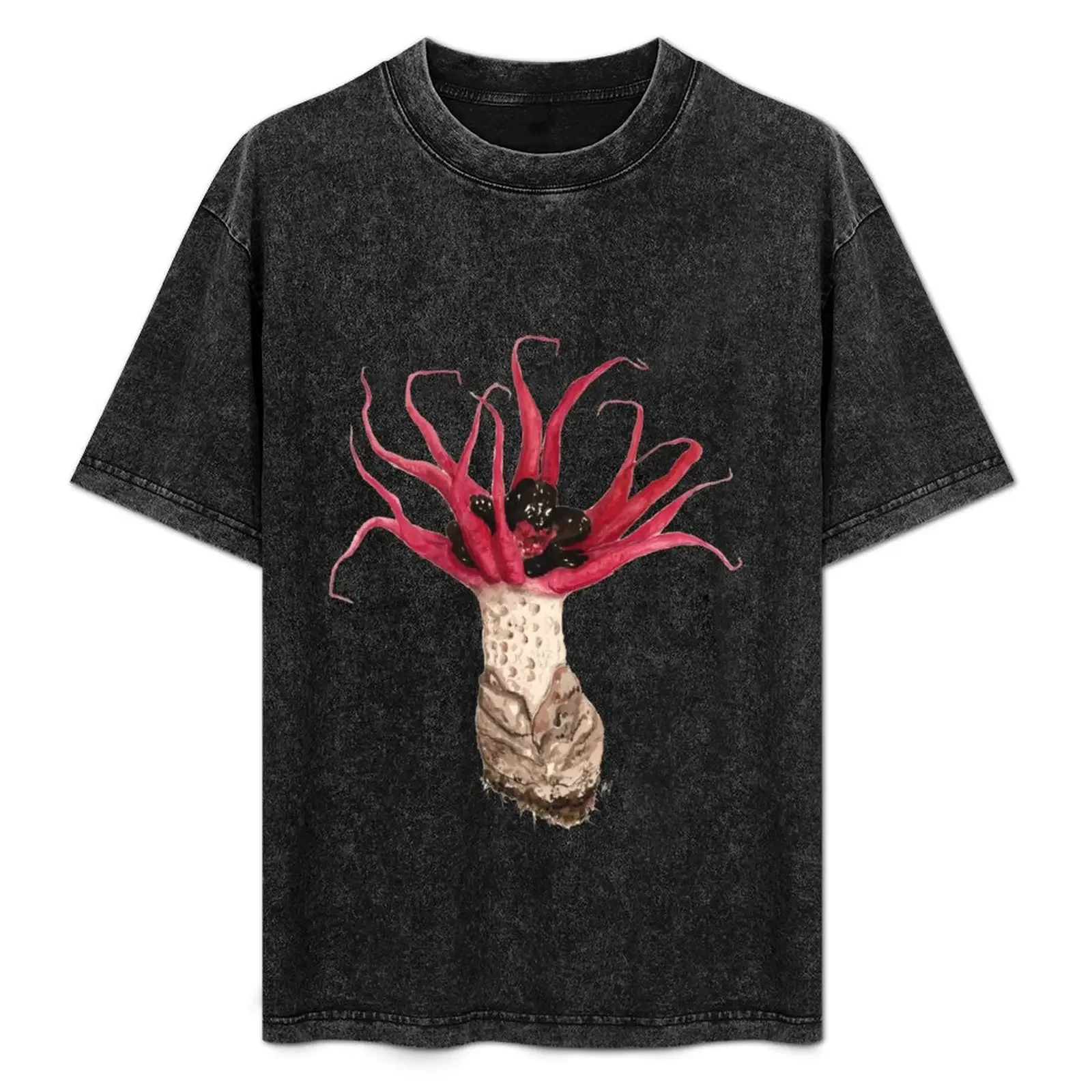 

Asroe rubra T-Shirt T-shirts oversize custom t shirt anime t shirts for men pack