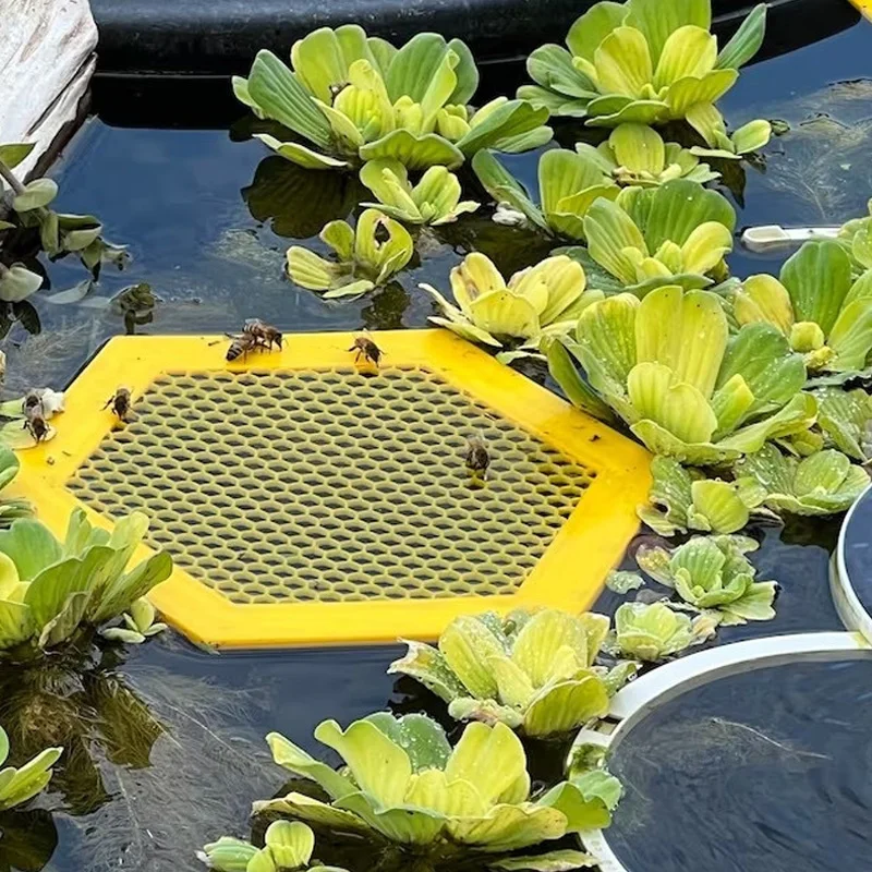

Floating Bee Island-Bee Waterer Bee Insect Drinking Tray Acrylic Beekeeping Setups Luring insects Waterer Catcher Cups Hexagonal