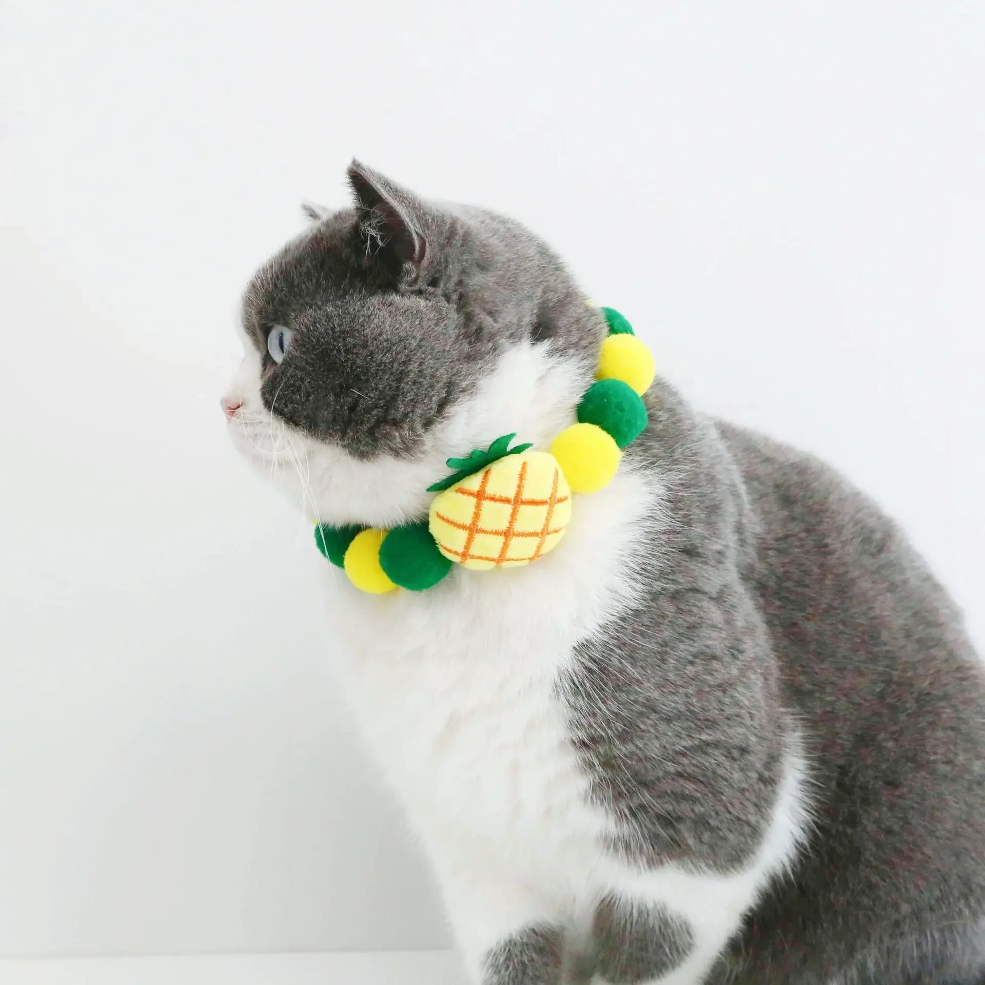 Fruit Design Cat Collar Plush Colorful Ball Collar Watermelon Strawberry Pineapple Neck Accessory Ring Also Apt For Dog (A0299)