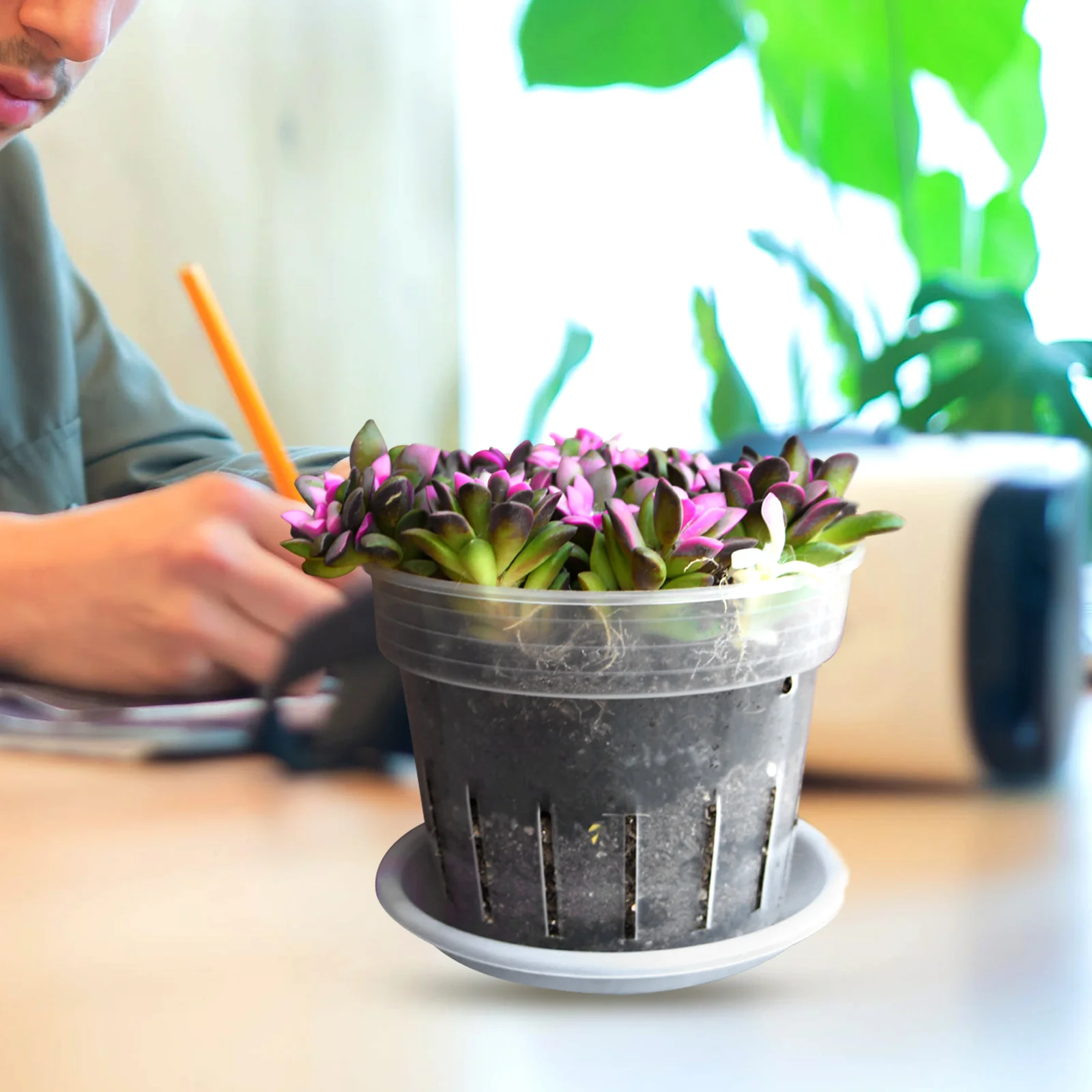 

1 set Transparent Plastic Flower Pots Rounded Ventilated Design For Indoor Plants Garden Planter Root Control Nursery Pots