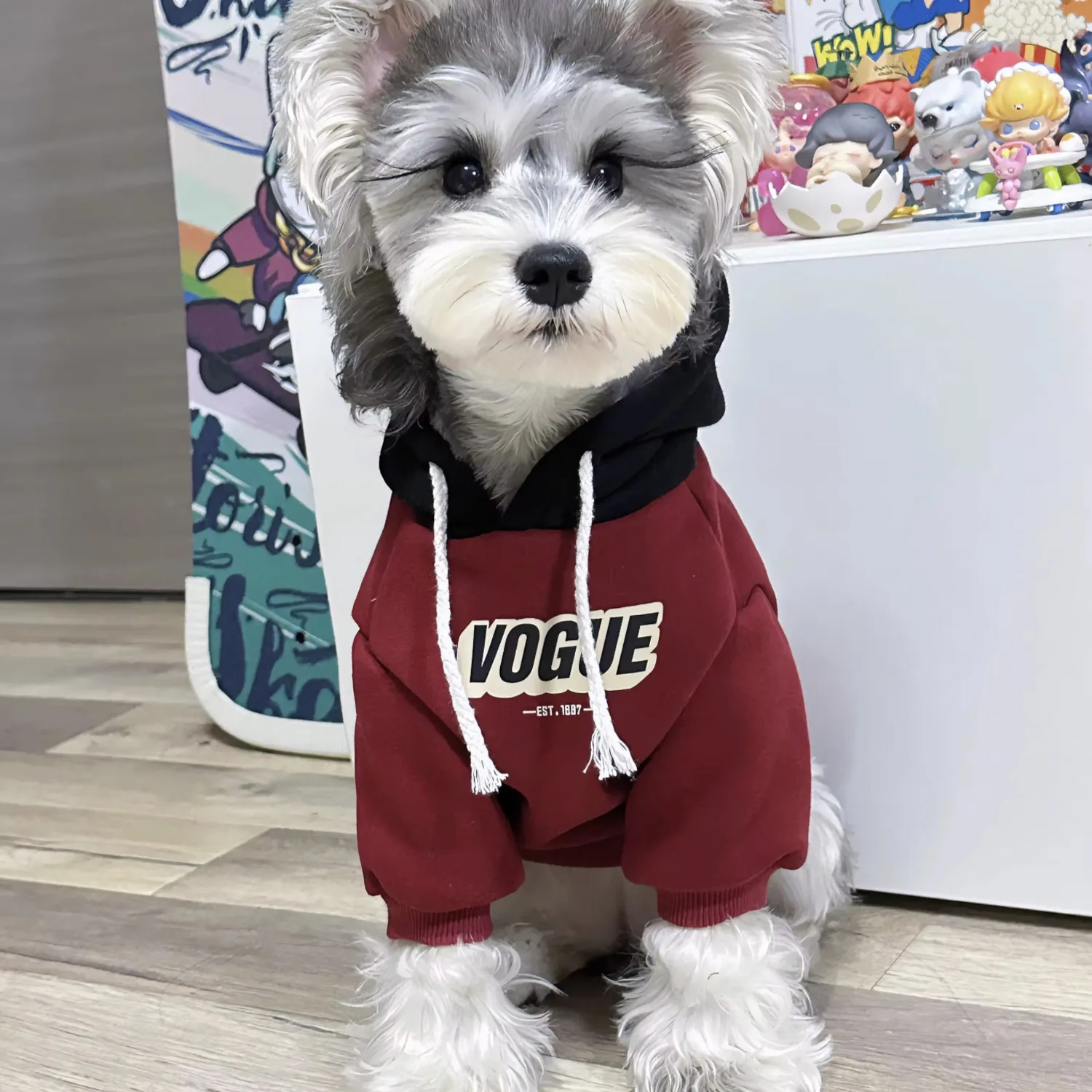 Spring and Autumn Pet Dog Sports Shirt Thin Medium and Small Dog Hoodie Color Block Hoodie Chihuahua French Bulldog Jacket 아지겨울옷