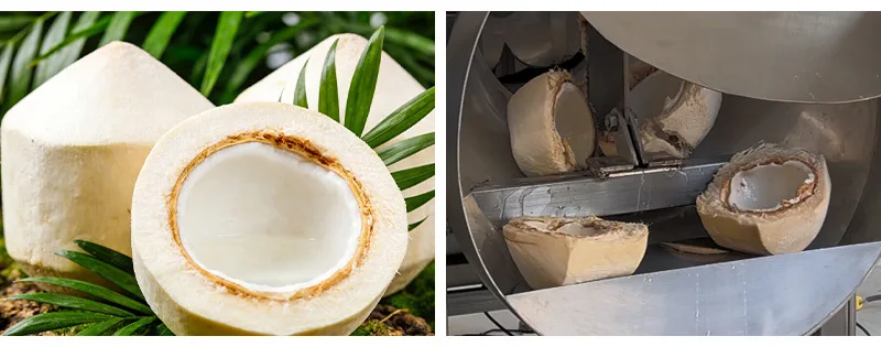 Stainless steel green coconut cutting half water dispenser, commercial half coconut cutting machine