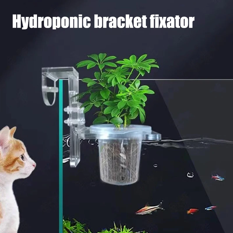 

Hanging Planter for Aquatic Plants | Aquarium Plant Pot and Fish Tank Holder